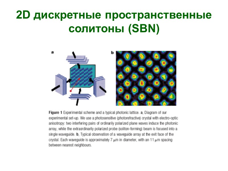 2D дискретные пространственные солитоны (SBN)